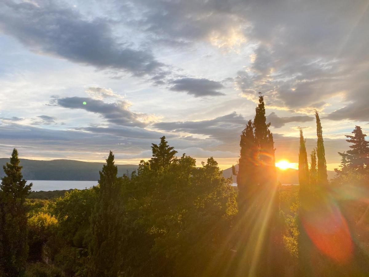 M Plus Residence Pinezići Exteriér fotografie